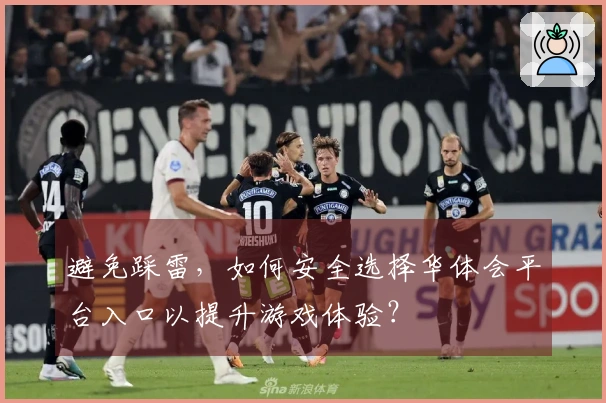 避免踩雷，如何安全选择华体会平台入口以提升游戏体验？