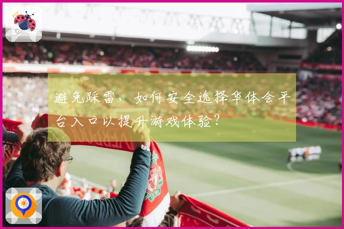避免踩雷，如何安全选择华体会平台入口以提升游戏体验？